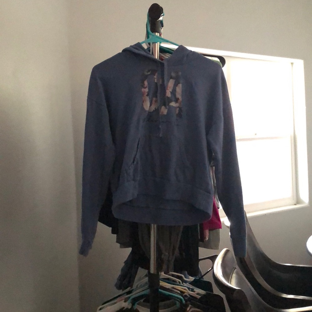 hollister cropped hoodie